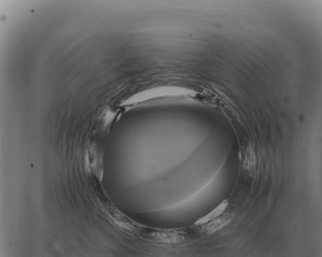 X0000066520524200603311757