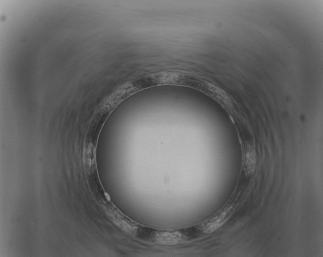 X0000066520525200603311757