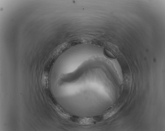 X0000066520527200603311757