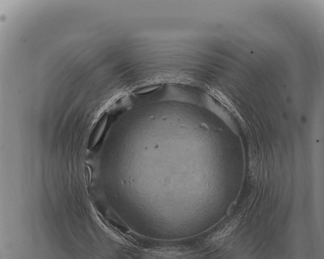 X0000066520530200603311757