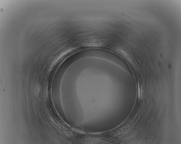 X0000066520531200603311757