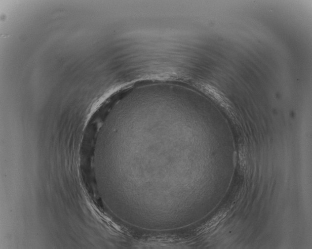 X0000066520532200603311757