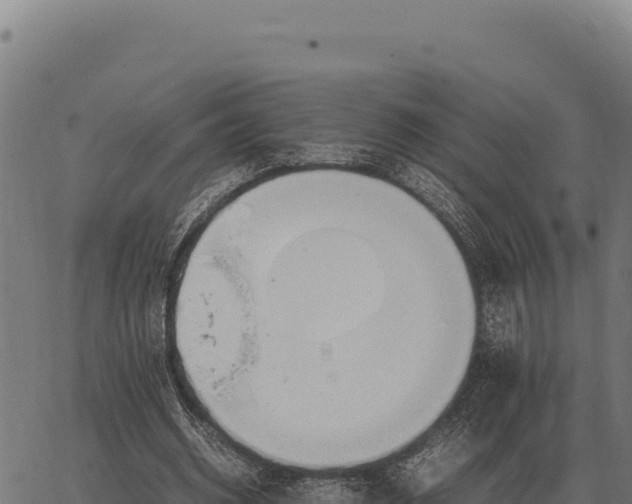 X0000066520534200603311757