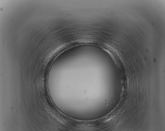 X0000066520535200603311757