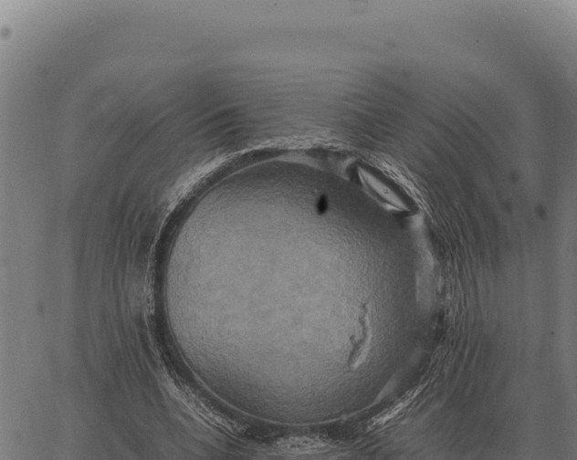 X0000066520536200603311757