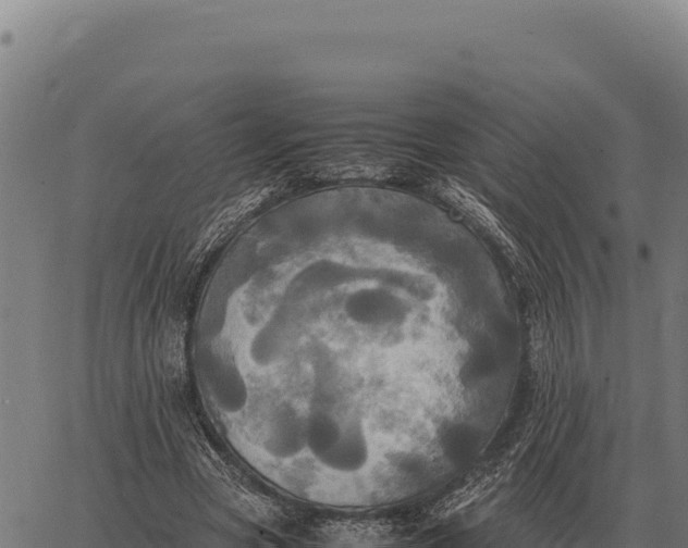 X0000066520537200603311757