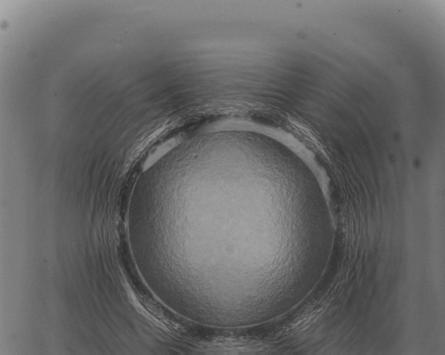 X0000066520538200603311757