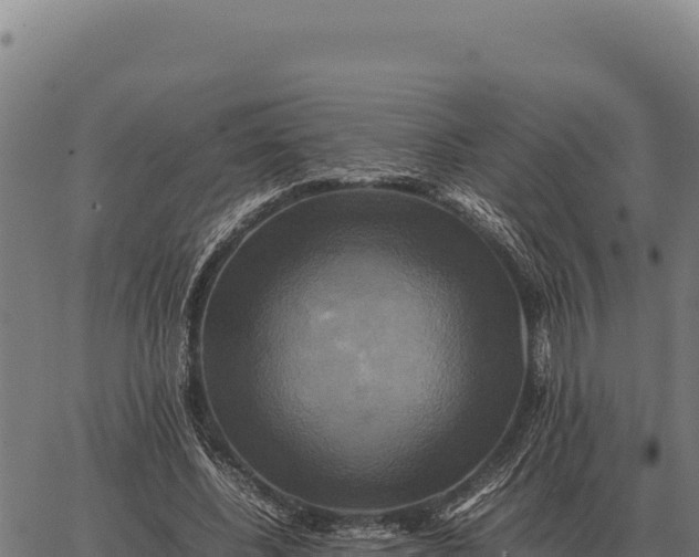 X0000066520540200603311757