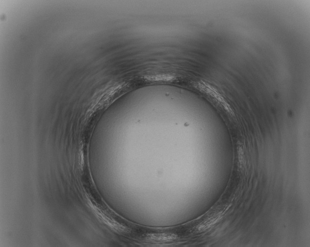 X0000066520541200603311757