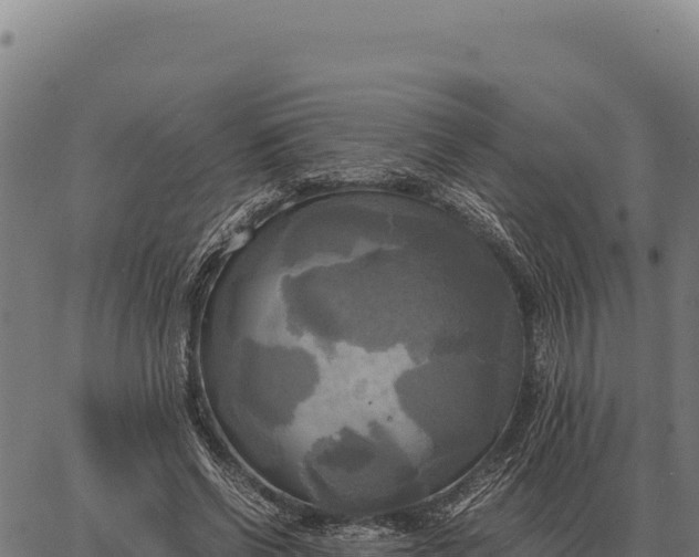 X0000066520542200603311757