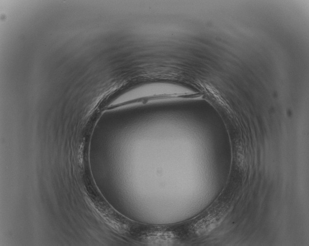 X0000066520543200603311757