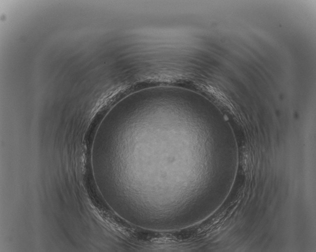 X0000066520544200603311757