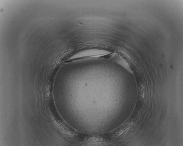 X0000066520546200603311757