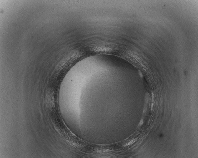 X0000066520547200603311757