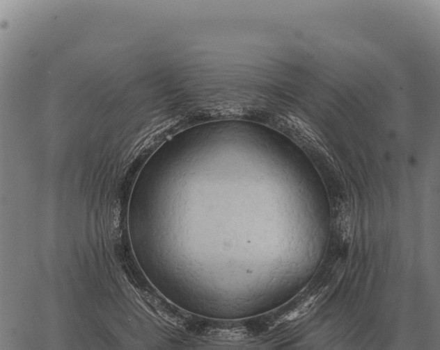 X0000066520548200603311757