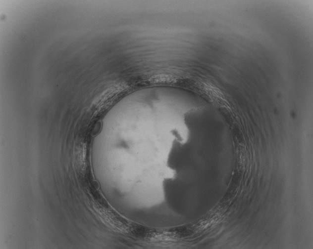 X0000066520550200603311757