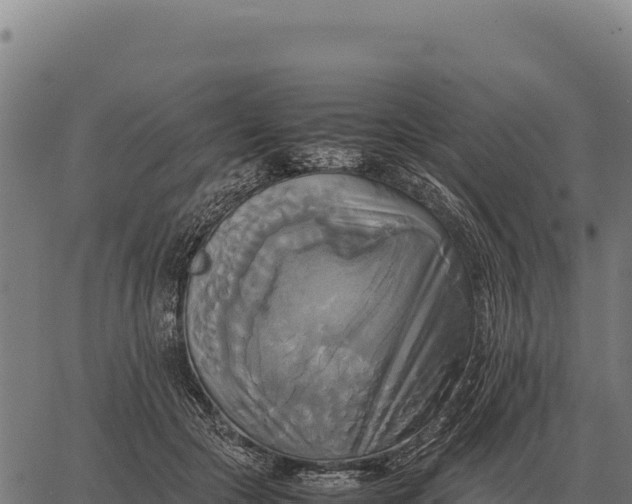 X0000066520553200603311757