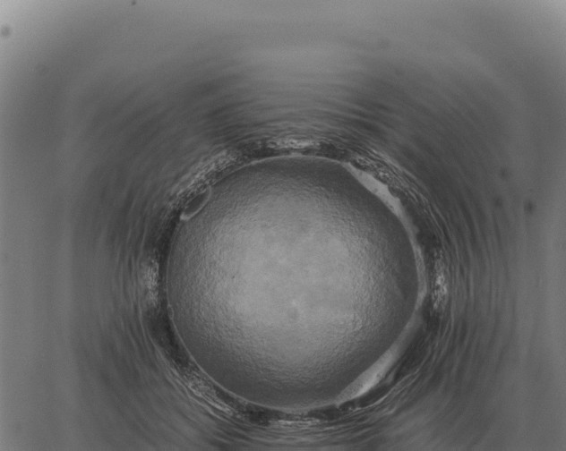 X0000066520556200603311757