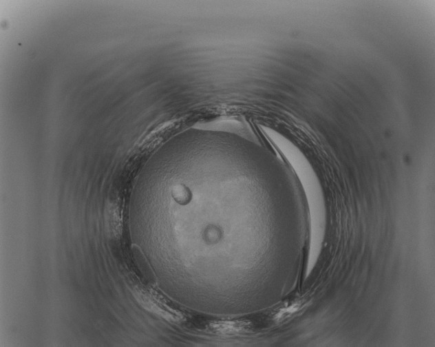 X0000066520558200603311757