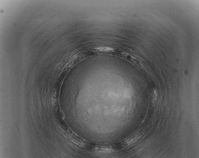 X0000066520559200603311757