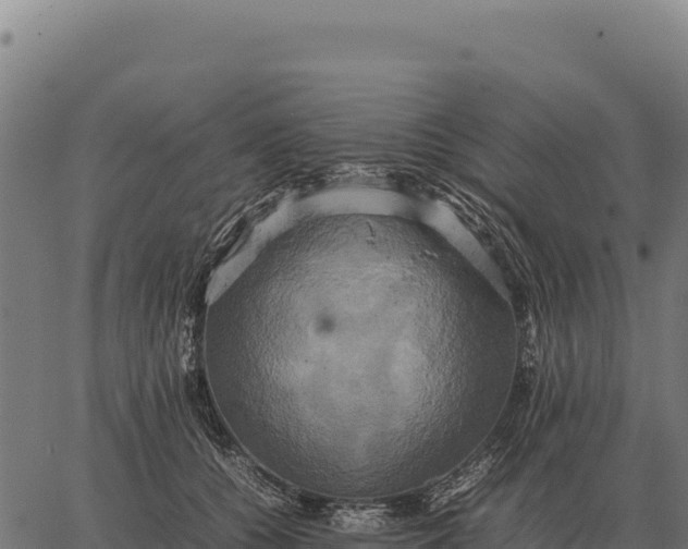 X0000066520560200603311757