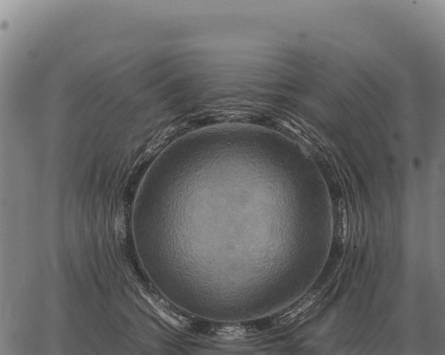 X0000066520562200603311757