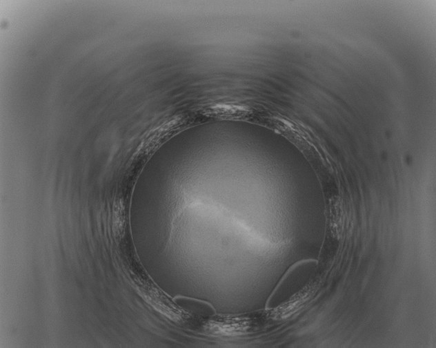 X0000066520563200603311757