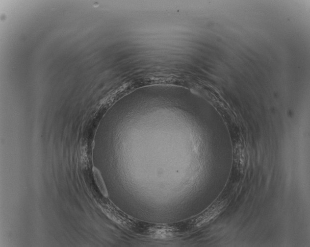 X0000066520564200603311757