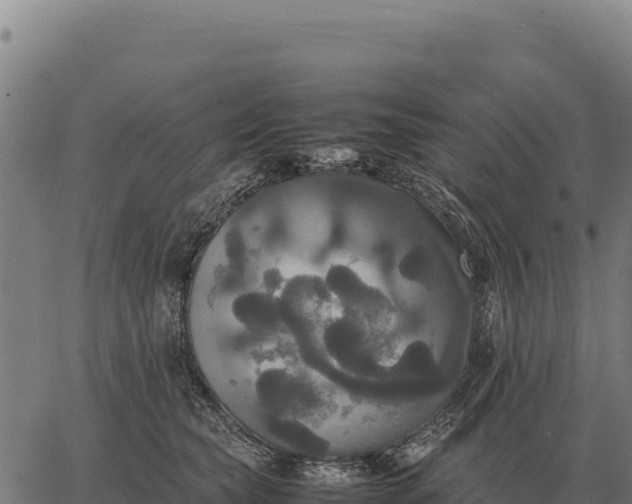 X0000066520565200603311757