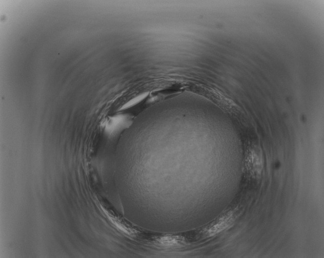 X0000066520566200603311757