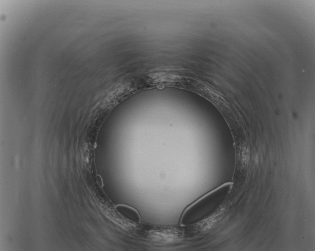 X0000066520567200603311757