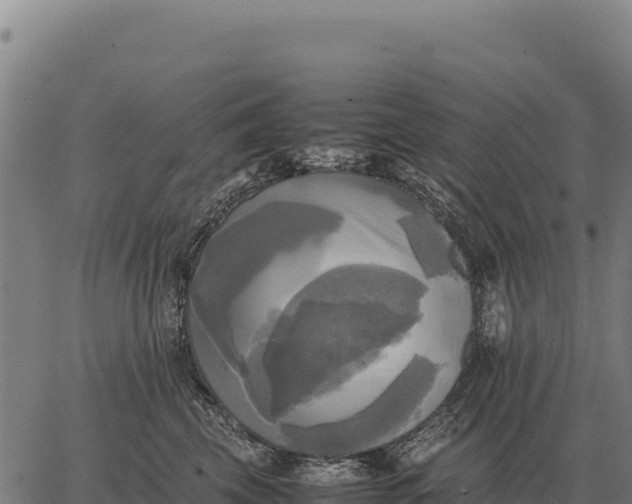 X0000066520569200603311757