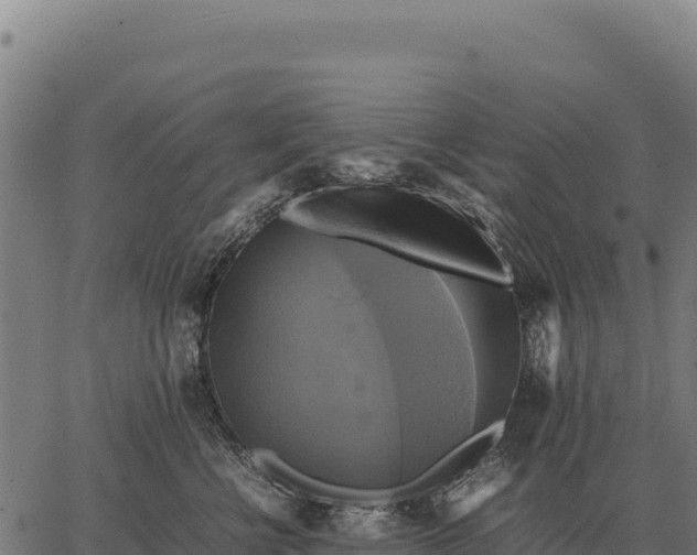 X0000066520570200603311757