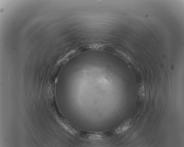 X0000066520572200603311757