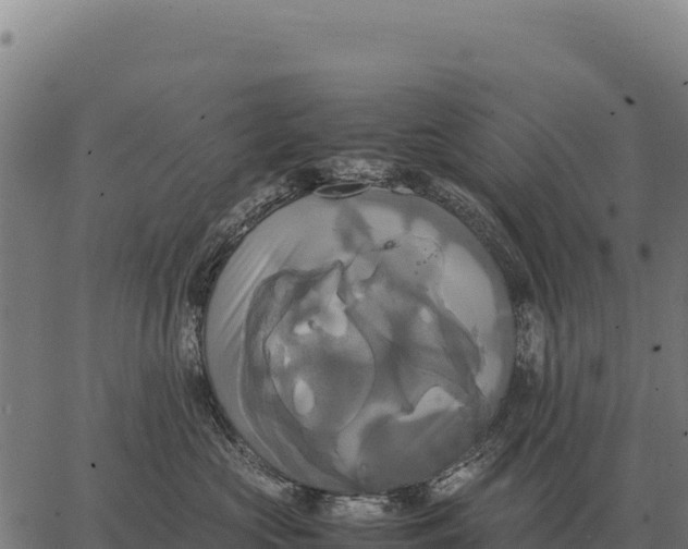 X0000066520573200603311757