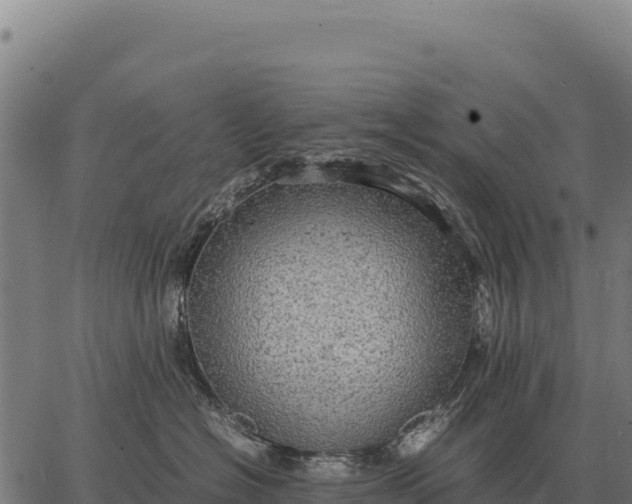 X0000066520574200603311757