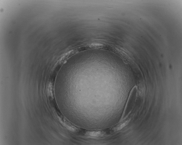 X0000066520575200603311757