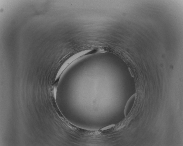 X0000066520576200603311757