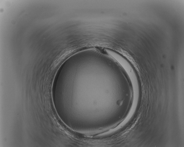 X0000066520577200603311756