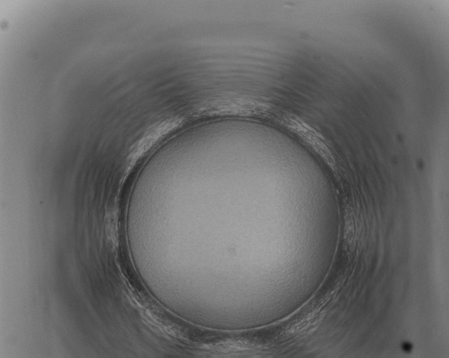 X0000066520578200603311756