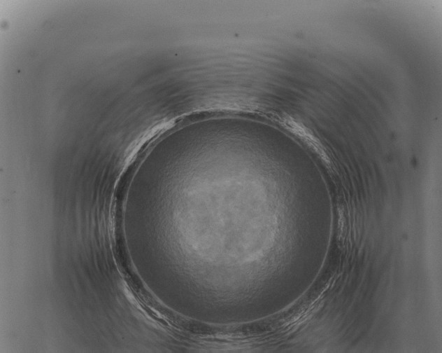 X0000066520580200603311756