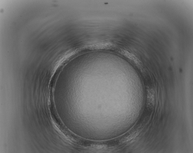 X0000066520582200603311756