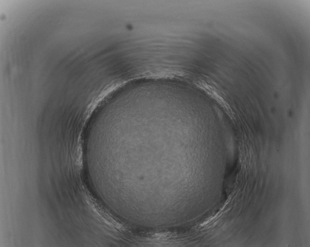 X0000066520584200603311756