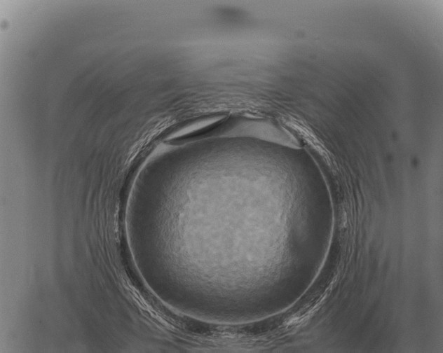 X0000066520585200603311756