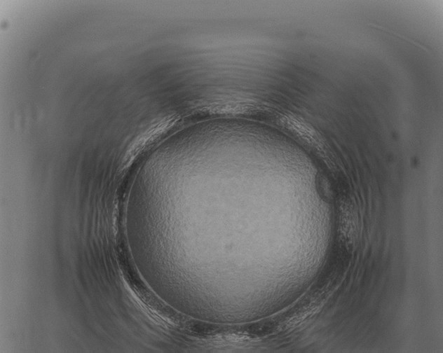 X0000066520586200603311756