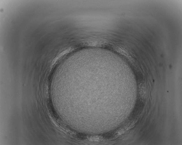 X0000066520587200603311756