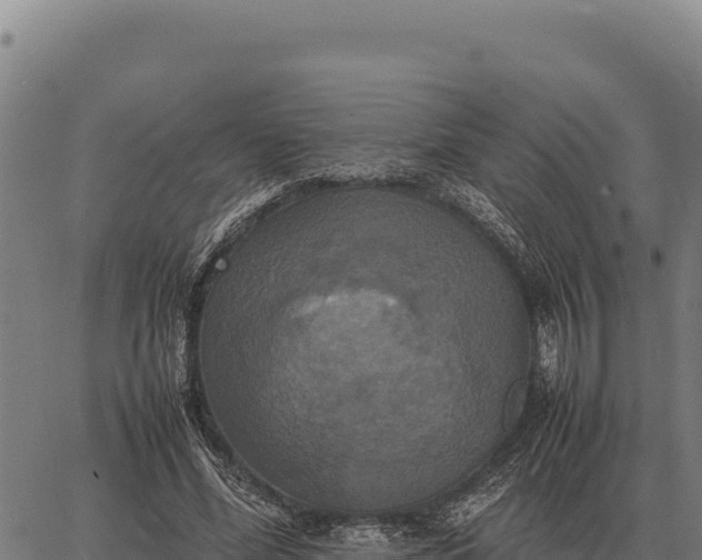 X0000066520588200603311756