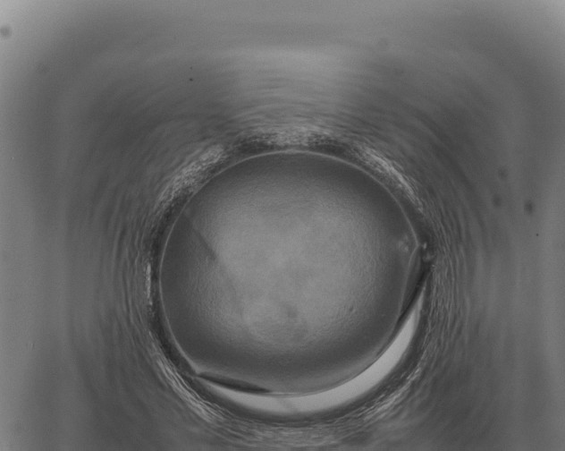 X0000066520589200603311756