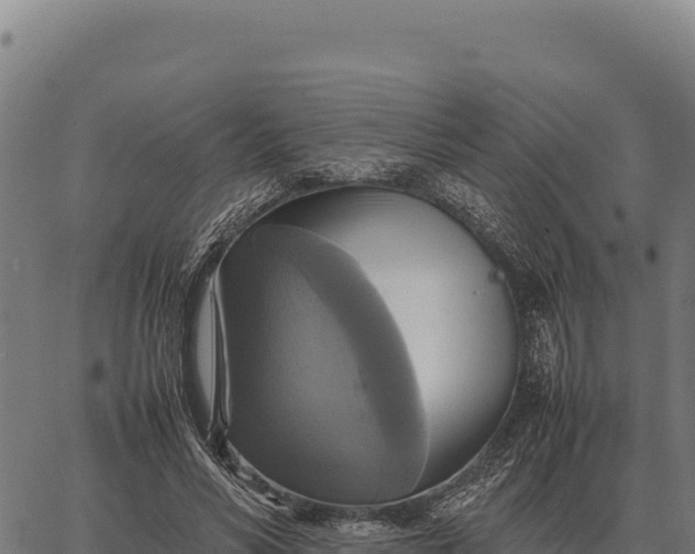 X0000066520590200603311756