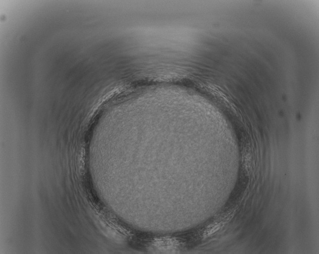 X0000066520591200603311756